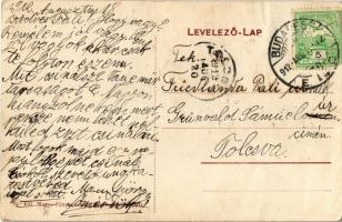 1912 Budapest XIV. Rákosfalva, Mann villa (fa)