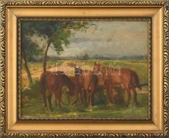 Jelzés nélkül: Három ló. Olaj, karton. Dekoratív fa keretben. 25x33 cm.