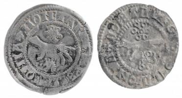 ~1300. Szlavón Denár Ag bizonytalan veret (0,94g) + ~1300. Szlavón Denár Ag bizonytalan veret (0,63g) T:2,2- / Hungary ~1300. Slavonian Denar Ag uncertain mint (0,94g) + ~1300. Slavonian Denar Ag uncertain mint (0,63g) C:XF,VF Unger I.: Sz. 27.