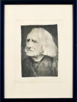Jelzés nélkül: Liszt Ferenc. Aquatinta, papír. Üvegezett keretben. 16x11cm