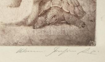 Kolozsvári Grandpierre Miklós ( 1950-): Ajándék. Rézkarc, papír. Feltekert állapotban.Szélén apró hi...