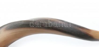 Ősi zsidó hangszer, a rós hásáná reggeli szertartás központi eleme is a sófárfújás.  Sófár, kosszarv...