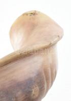 Ősi zsidó hangszer, a rós hásáná reggeli szertartás központi eleme is a sófárfújás.  Sófár, kosszarv...