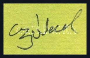 Czóbel jelzéssel: Női akt. Akvarell, papír, keret nélkül, sérült 30x22cm