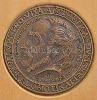 1991. "PRO VITA AESTHETICA - Magyar Kalobiotikai Társaság - Gr. Széchenyi István 1791-1860 - Az...