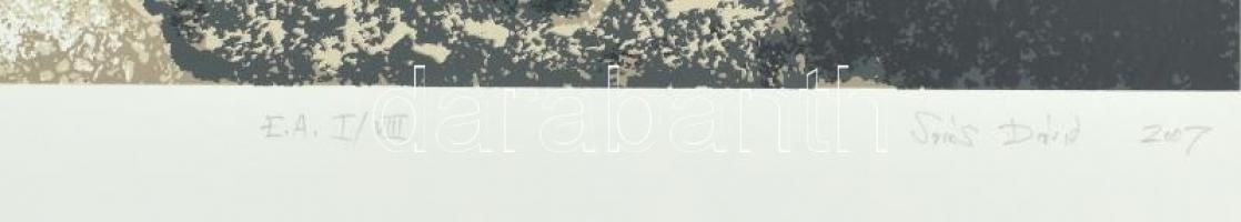 Sáros Dávid (1982-): Sziklarajz IV., 2007. Szitanyomat, papír, jelzett. Művészpéldány EA I/VIII. szá...