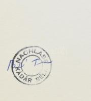 Kádár Béla (1877-1956): Tigrisek. Rézkarc, papír, jelzett számozott (10/100), 23,5x30,5 cm. Aláírt h...