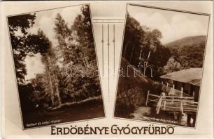 1931 Erdőbénye-gyógyfürdő, Vadkert és erdei részlet, Nagyköves hegy. Mautlinger Miklós kiadása (EB)
