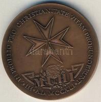 DN "Johannita rend - 1241. Muhi" Br T:1