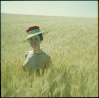 Menesdorfer Lajos (1941-2005) budapesti fotóművész hagyatékából, 13 db jelzés nélküli vintage fotó é...