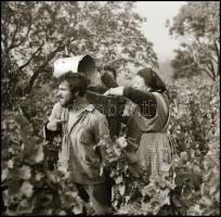 cca 1970-es években készült, vegyes témájú felvételek, 13 db vintage NEGATÍV Zsigri Oszkár (1933-?) ...