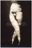 cca 1973 Szolidan erotikus sárgarépa, Botta Dénes (1921-2010) budapesti fotóművész hagyatékából 1 db vintage DIAPOZITÍV felvétel, 36x24 mm