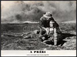 Western filmek vegyes tétele, 7 db produkciós filmfotó különféle western filmek egy-egy jelenetéről,...