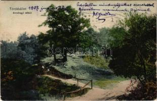 1907 Törökbálint, Annahegyi sétaút (EK)