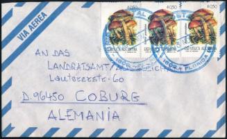 Argentína 1993