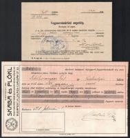 cca 1920 Vadászattal kapcsolatos nyomtatványok: fegyveradó hirdetmény, fegyvervásárlási engedély, st...