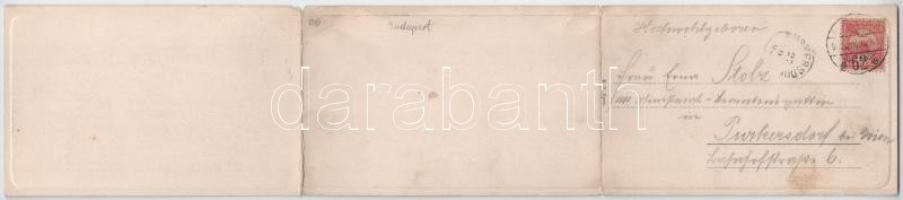 1902 Budapest I. Látkép a Királyi vártól. 3-részes kihajtható panorámalap / 3-tiled folding panorama...