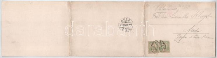 1902 Budapest I. Látkép a Gellérthegyről, Királyi vár, Tabán, építés alatt álló Erzsébet híd, Döbren...