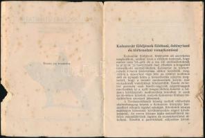 Dr. Ferenczi Sándor: Kolozsvári útmutató. Kolozsvár, 1941, Erdély. Kiadói papírkötés, széleken hiány...