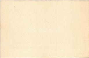 Liberec, Reichenberg; Rathaus / town hall, tram (non PC)