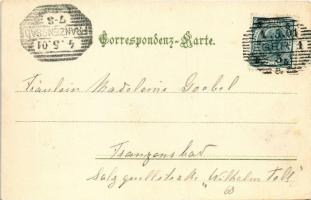 1901 Cheb, Eger; Blick vom Egertal / riverside (EK)