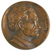 DN Czumpf Imre kétoldalas, öntött bronz plakett (106mm) T:2