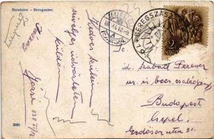 1938 Beregszász, Berehove, Berehovo; Donáth kerti vendéglő, szálloda és garázs / zahradní restaurace...