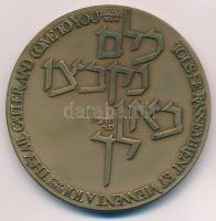 Izrael DN ...mindnyájan egybegyűlnek, hozzád jönnek... - Ésaiás 60, 4 kétoldalas, bronz emlékérem, peremen jelzett és sorszámozott 6469, műanyag tokban (59mm) T:1 patina Israel ND They all gather and come to you - Isaiah 60, 4 double-sided bronze commemorative medallion, marked and numbered on edge 6469 in plastic case (59mm) C:UNC patina