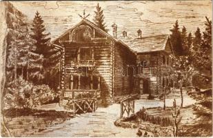 1909 Ismeretlen település, turistaház, menedékház (EK)