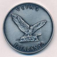 1992. VEFAG Tatabánya / FEHOVA kiállítás ezüstpatinázott emlékérem műanyag dísztokban (40mm) T:2