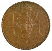 Zutt Richard (1887-1938) 1914. "Hadsegélyező Hivatal az árváknak" ezüstözött fém emlékérem...