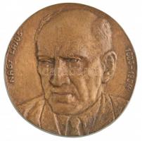 DN Nagy Lajos 1883-1954 egyoldalas, öntött bronz emlékérem (106mm) T:1-