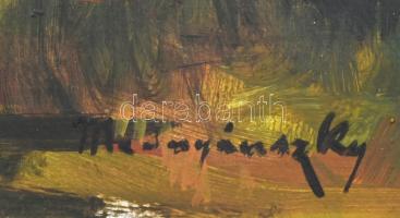 Mednyánszky jelzéssel: Erdei fények. Olaj, karton, 69×98 cm