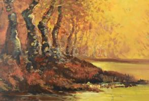 Mednyánszky jelzéssel: Erdei fények. Olaj, karton, 69×98 cm
