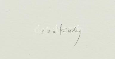 Székely Pierre (1923-2001): Nőstény oroszlán. Színes litográfia, papír, jelzett, számozott (66/100)....