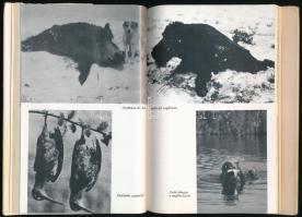 Jámbor János: Szarvasnász. Bp., 1978, Táncsics. Fekete-fehér fotókkal illusztrált. Kiadói kartonált ...