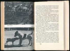 Jámbor János: Szarvasnász. Bp., 1978, Táncsics. Fekete-fehér fotókkal illusztrált. Kiadói kartonált ...