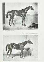 Fehér Dezső-Török Imre: A magyar lóversenyzés története. (1827-1977) Történelmi visszapillantás a re...