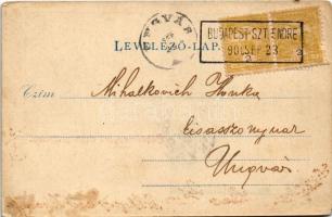 1900 Budapest III. Békásmegyer, Tisztviselőtelep, Casino (kaszinó) (fl)