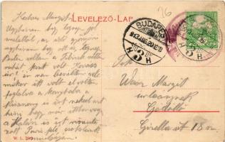 1913 Kaposvár, Siketnéma intézet. W.L. 2543. (EK)