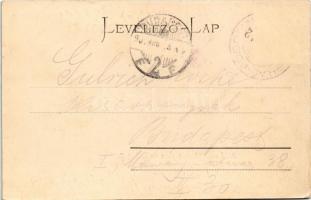 1904 Poprád (Magas-Tátra, Vysoké Tatry), Huszpark kávéház, Központi Kárpátok a Husz díszkertje felől...