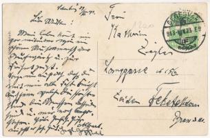 1913 Brassó, Kronstadt, Brasov; Der erste Siebenbürgisch-sächsische Flieger Albert Ziegler / Az első...