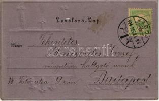 1904 Kassa, Kosice; Felső-Magyarországi Múzeum. László Béla kiadása. Szecessziós dombornyomott litho...