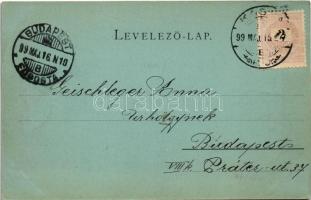 1899 (Vorläufer) Kassa, Kosice; M. kir. gazdasági tanintézet. Vitéz A. kiadása / economic school (EB...