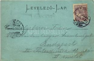 1900 Kassa, Kosice; Grand Hotel Schalkház nagy szállod. Nyulászi Béla kiadása / hotel (Rb)