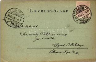 1899 (Vorläufer) Pozsony, Pressburg, Bratislava; látkép, vár, gőzhajó / general view, castle, steams...