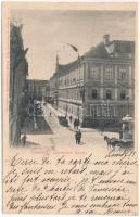 1901 Temesvár, Timisoara; Lonovics utca. Polatsek kiadása / street (r)
