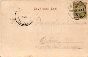 1903 Herkulesfürdő, Baile Herculane; vasútállomás. R. Krizsány kiadása / Bahnhof / railway station (...