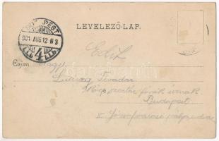 1901 Lugos, Lugoj; látkép, Grünberger Ede üzlete. Auspitz Adolf kiadása / general view, shops (Rb)