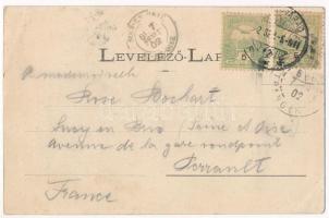 1902 Tenke, Tinca; Tenkei Gyógyfürdő. Lévy Dávid kiadása / spa, bath (EB)